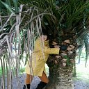 ���� �� ������� �߻