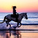 ���� ���������, �����-��������� - ��������� 22 ���� 2016 � ������ ������ ��������