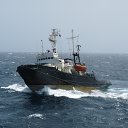 ���� ������, �����������, 54 ���� - ��������� 5 ������� 2016 � ������ ���� ����� ��� ������...�