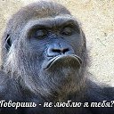 ���� Stels, ������, 66 ��� - ��������� 2 ��� 2016 � ������ ���� ����������