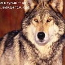 ���� ���, ����, 45 ��� - ��������� 29 ����� 2016 � ������ �����Ȼ