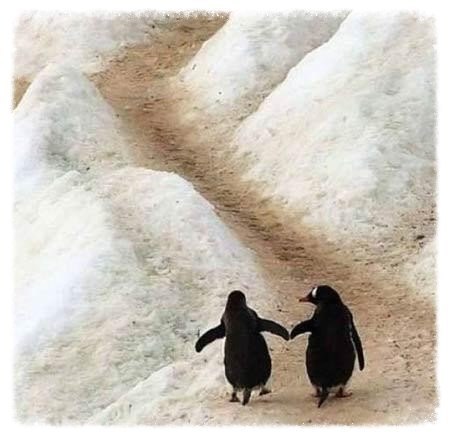 ���� ������ ���� ������ � ��� ����. ���� ������ ���� ������ � ����� ������.