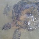 ������� �������� �������� ���������� ����)) �� ������� ���� ����������