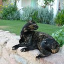 ���� ���������, �����-��������� - ��������� 7 ������ 2016 � ������ ���� ����������