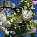 ���� �������, ������, 65 ��� - ��������� 15 ��� 2016 � ������ ���� ����������