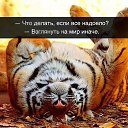 ���� ���������, ������ - ��������� 22 ����� 2016 � ������ ������ ��������