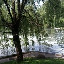  Elenka))) 220,  -  6  2016   