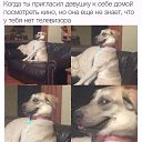 ���� ������, �����, 41 ��� - ��������� 4 �������� 2016 � ������ ������ ��������