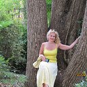 ���� ����, ������, 55 ��� - ��������� 22 ���� 2016 � ������ ���� ����������