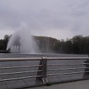 ���� ����, �����, 37 ��� - ��������� 1 ��� 2016 � ������ ���� ����������