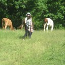 ���� ������, ������ - ��������� 15 ������ 2016 � ������ ������ � ��������