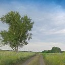 ���� ������, �����������, 65 ��� - ��������� 30 ���� 2016 � ������ ���� ����������