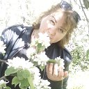 ���� �����, ��� - ��������� 31 ������� 2016 � ������ ���� ���� ������