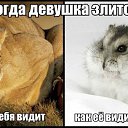 ���� A�����, �����-���������, 48 ��� - ��������� 31 ����� 2016 � ������ ������ ��������