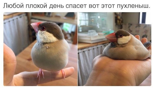 ,       - 2