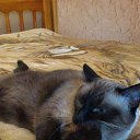 ���� ������, ������ - ��������� 24 ��� 2016 � ������ ���� ����������