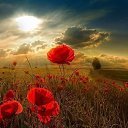 ���� ����, ����, 56 ��� - ��������� 12 ������ 2016 � ������ ������ ��������