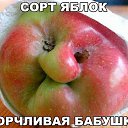 ���� �����, ������ - ��������� 25 ������� 2016 � ������ ������ ��������