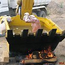 ���� �������, ���������, 72 ���� - ��������� 18 ������� 2016 � ������ ���������
