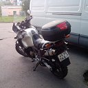 ���� ������, �����, 57 ��� - ��������� 14 ������� 2016 � ������ ���� ����������