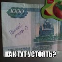 ���� ����, ������, 43 ���� - ��������� 24 ���� 2016 � ������ ���� ����������