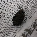 ���� ����, ������������, 35 ��� - ��������� 12 ���� 2016 � ������ �Moscow 2016 January�