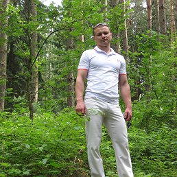 ���� ������, �����, 40 ��� - ��������� 7 ���� 2016