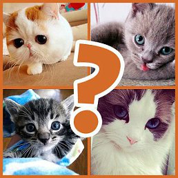 ���� ������, ����������, 44 ���� - ��������� 7 ���� 2016