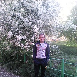 ����, ����