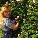 ���� ����, ��������, 39 ��� - ��������� 1 ���� 2016 � ������ ���� ����������