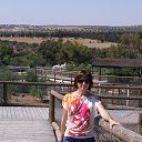 ���� ����, �����-��������, 46 ��� - ��������� 21 ����� 2016 � ������ ���� ����������