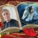 ���� ���, �����������, 78 ��� - ��������� 7 ������� 2016 � ������ ���� ����������