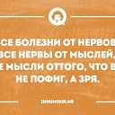 ���� ����, �����, 61 ��� - ��������� 8 ��� 2016 � ������ ������