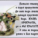 ���� �����, ������, 59 ��� - ��������� 11 ������� 2016 � ������ ���� ����������