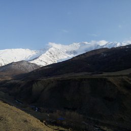 Alan, �����������, 57 ���