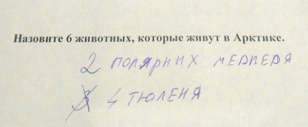 Когда учишься в младших классах, но уже познал жизнь - 4