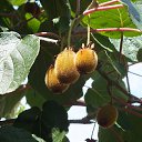 ���� ����, �������, 45 ��� - ��������� 7 ��� 2016 � ������ ���������