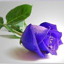 ���� �., ���������� - ��������� 10 ������ 2016 � ������ ����ۻ