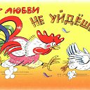 ���� ����, �������, 63 ���� - ��������� 7 ������� 2016 � ������ ������ ��������