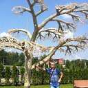 ���� ����, ������, 42 ���� - ��������� 27 ���� 2016