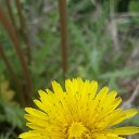  , , 59  -  28  2016   sok