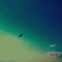���� ����, �������� - ��������� 17 ���� 2016 � ������ ���� ����������