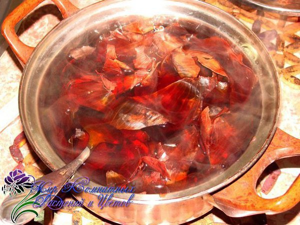 Подкормка для цветов из луковой шелухи.Чтобы растения были здоровы и пышно цвели, их необходимо ...