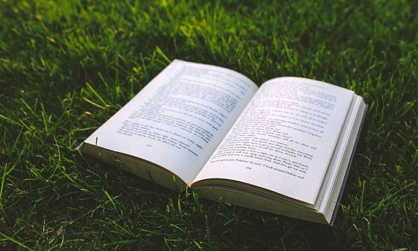 ПИСЬМО НЕИЗВЕСТНОГО АВТОРА.Я впервые пишу о нас, мужчинах. Мужчинах, которые всегда считали себя ...