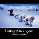 ���� ������, ���� - ��������� 22 ����� 2016 � ������ ������ ��������