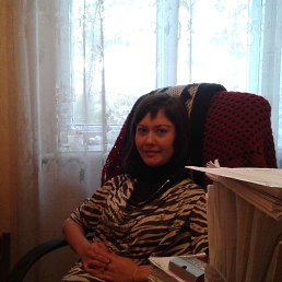 ���� ���������, �����������, 41 ��� - ��������� 29 ���� 2016