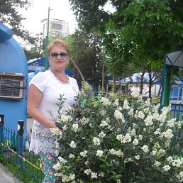 ���� �������, ���������, 69 ��� - ��������� 1 ���� 2016