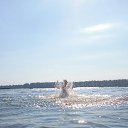���� N., ������ - ��������� 8 ������� 2016 � ������ ���� ����������