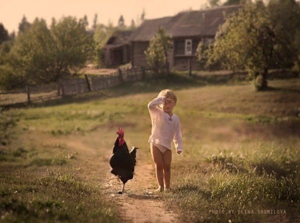 Фотограф Елена Шумилова — мама двух дружных шустрых мальчишек. Ее сыновья и их домашние животные ... - 8
