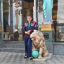 ���� A������, ������, 59 ��� - ��������� 22 ����� 2016 � ������ ���� ����������